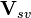 \mathbf{V}_{sv}